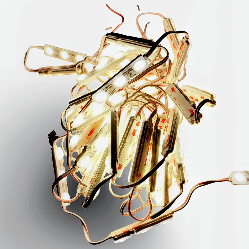 String of lights with clear bulbs on a white background